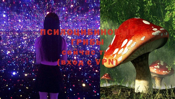 сатива Осинники