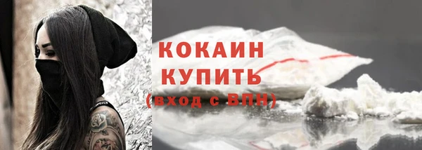 сатива Осинники