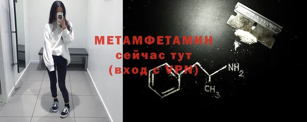сатива Осинники