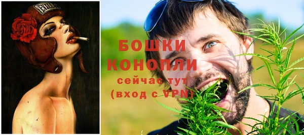 сатива Осинники
