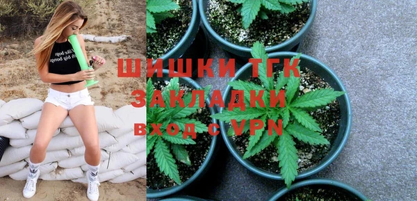 сатива Осинники