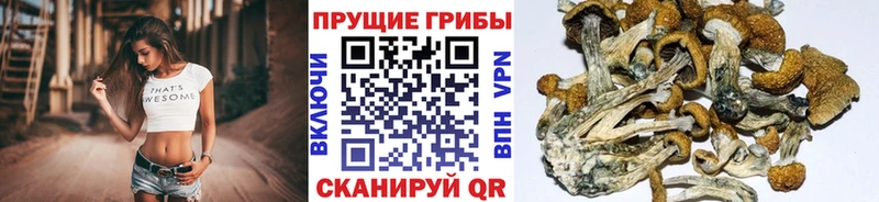 Псилоцибиновые грибы Psilocybine cubensis  гидра рабочий сайт  Чухлома 
